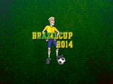 Brazilcup 2014