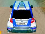 Rally Expedition 3D